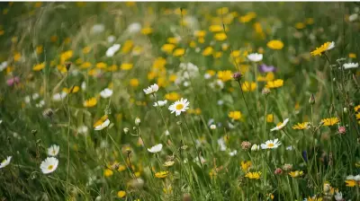 Cukrovka a její příznaky